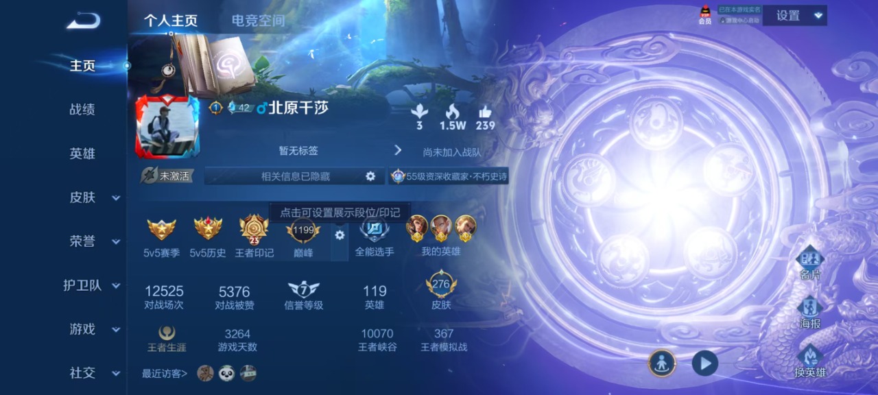 WZQM397367王者荣耀账号详情图15
