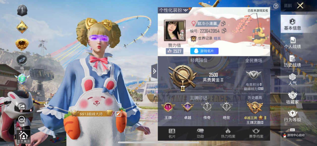 HPQM3153437和平精英账号详情图2