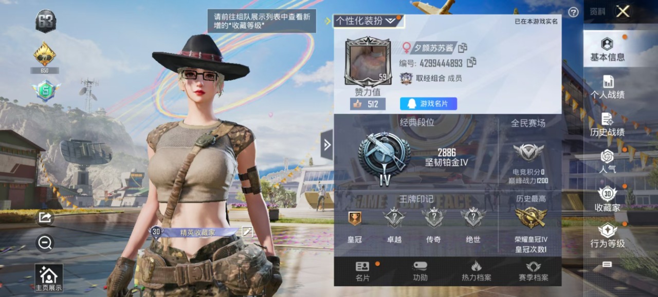 HPQM3155989和平精英账号详情图7