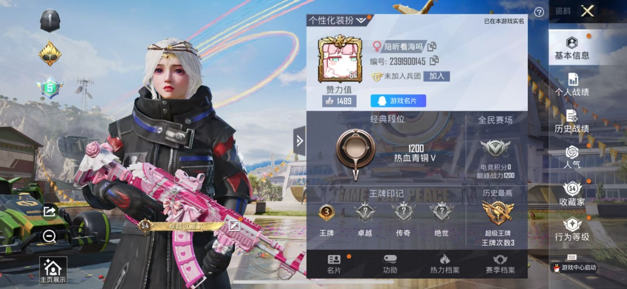 HPQM3156085和平精英账号详情图2