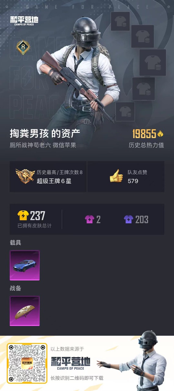 HPQM3156629和平精英账号详情图3