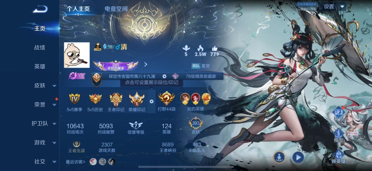 WZQM3101030王者荣耀账号详情图19