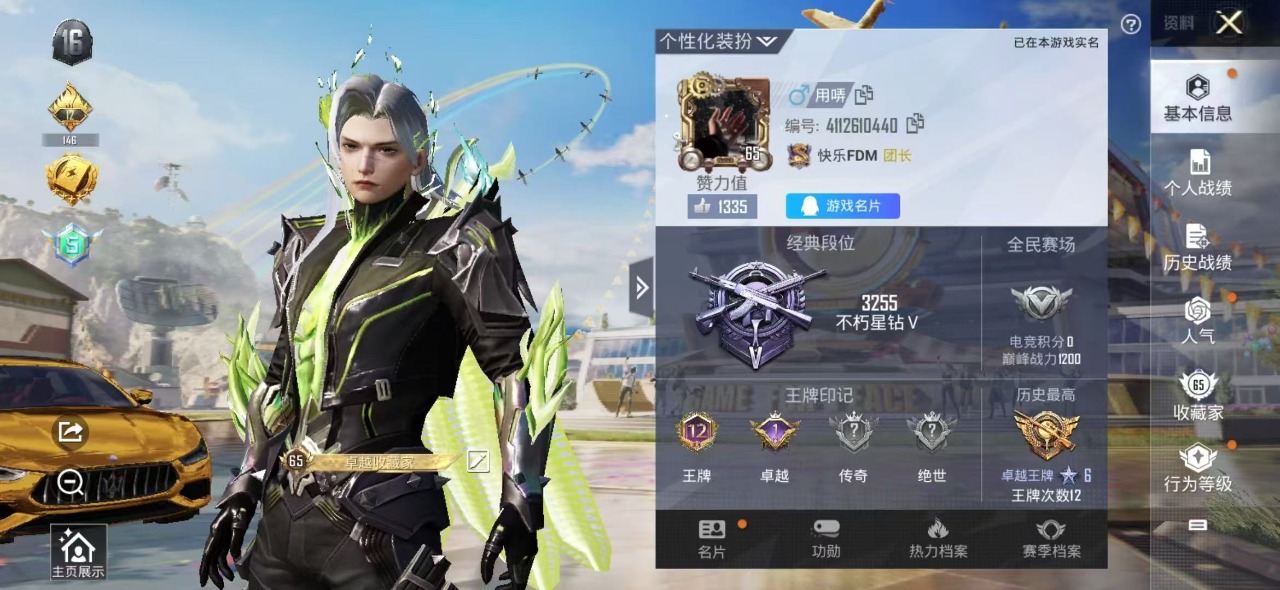 WZQM3101069王者荣耀账号详情图20