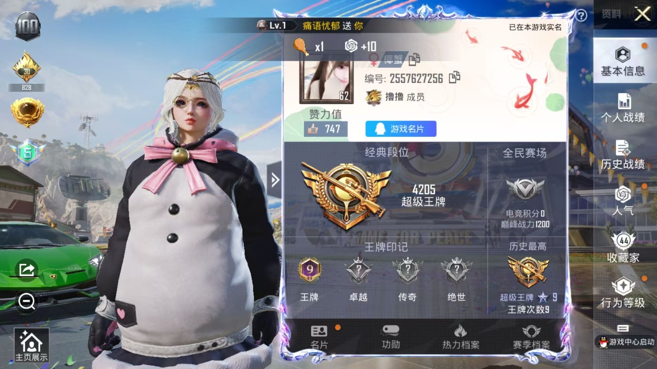 HPQM3160500和平精英账号详情图18