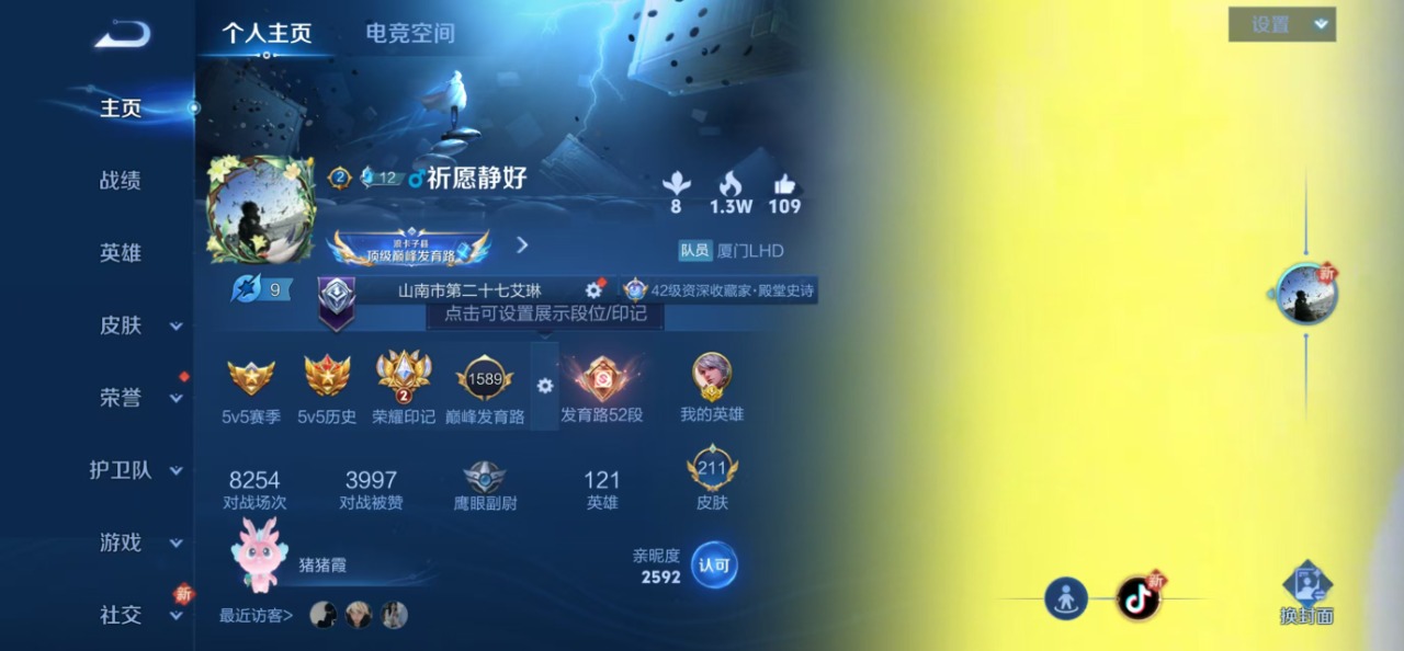 WZQM3102703王者荣耀账号详情图10