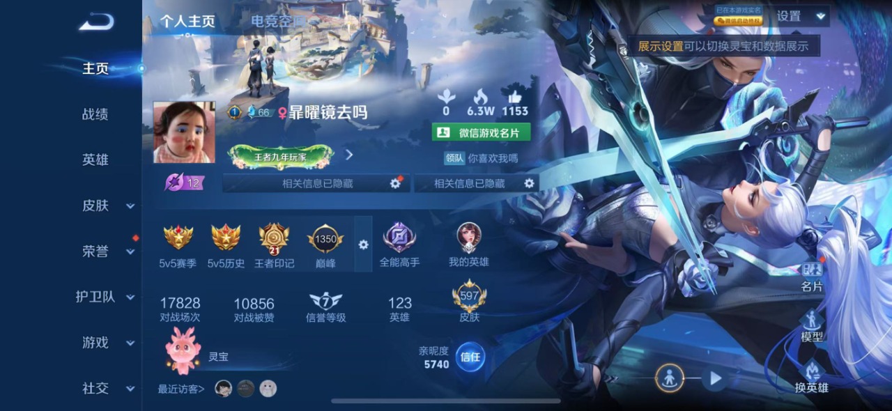 WZQM3102705王者荣耀账号详情图22