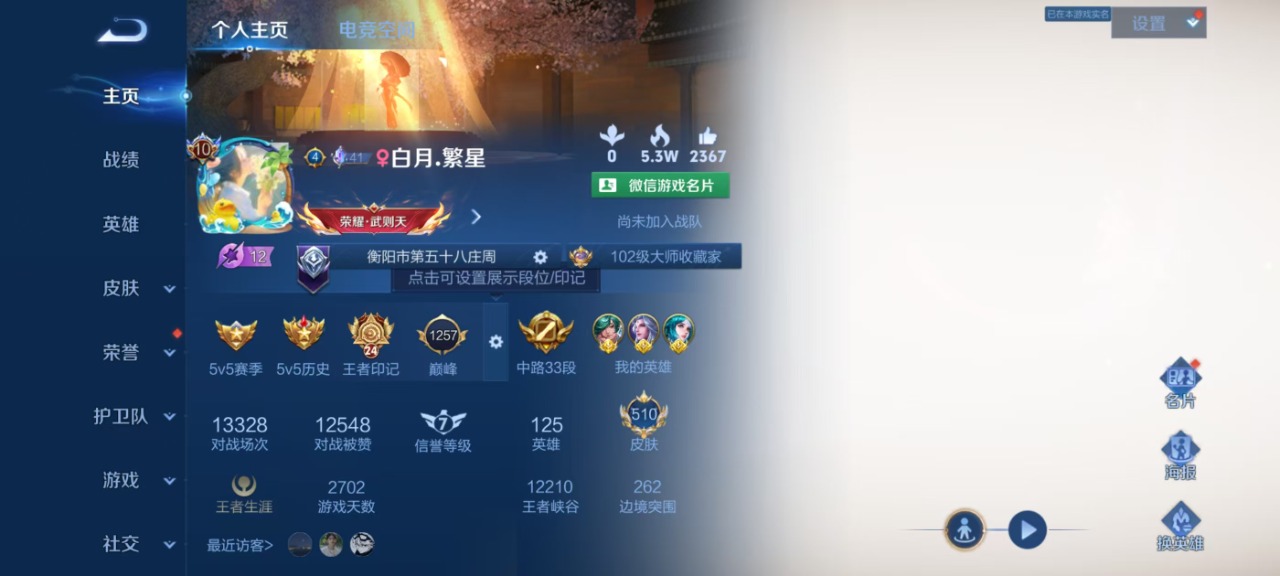 WZQM3102734王者荣耀账号详情图10