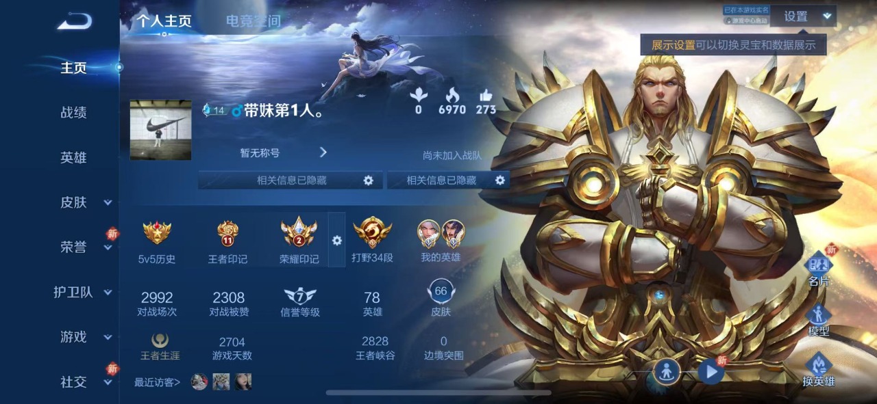 WZQM3102745王者荣耀账号详情图2