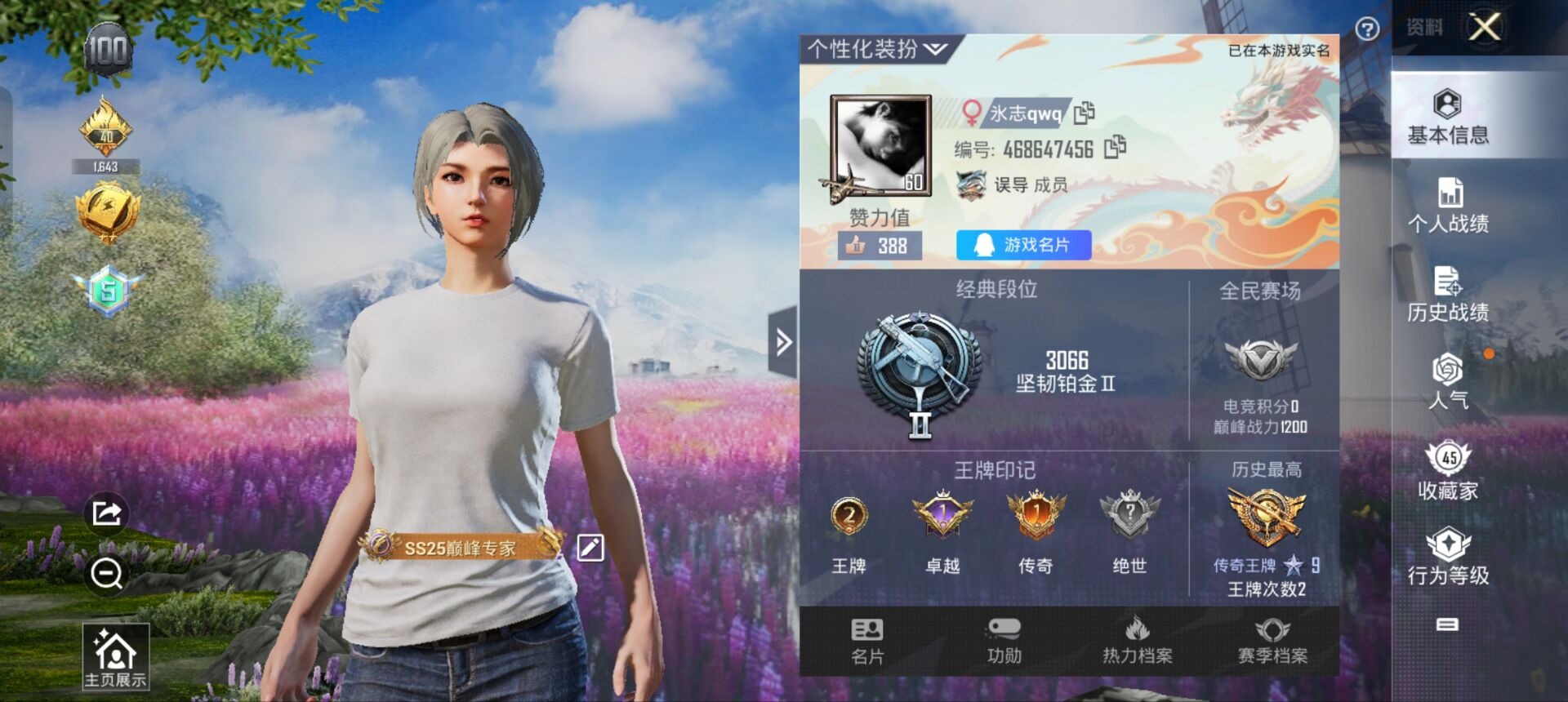 HPQM3160753和平精英账号详情图12