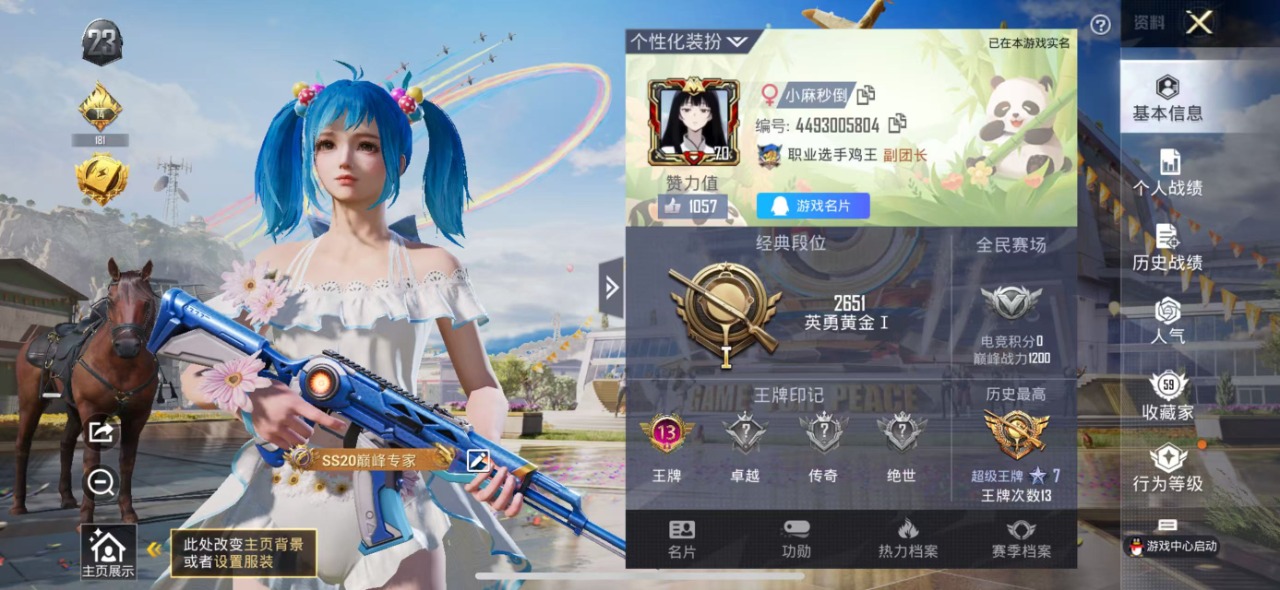 HPQM3160799和平精英账号详情图3