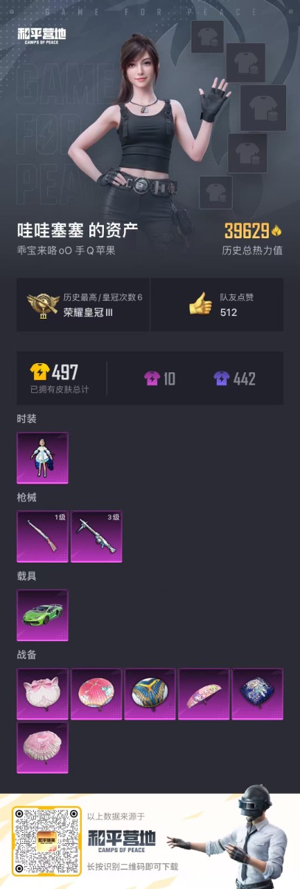 HPQM3160828和平精英账号详情图18