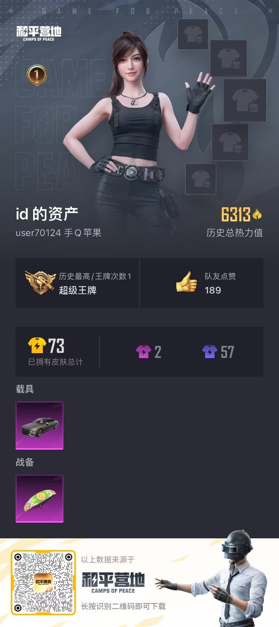 HPQM3161053和平精英账号详情图10