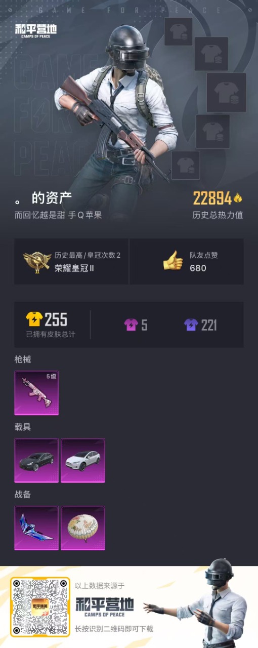 HPQM3161396和平精英账号详情图2