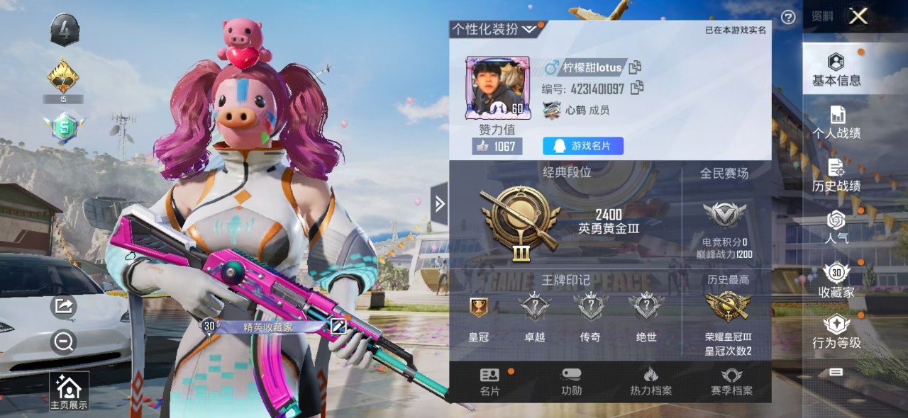 HPQM3161646和平精英账号详情图15