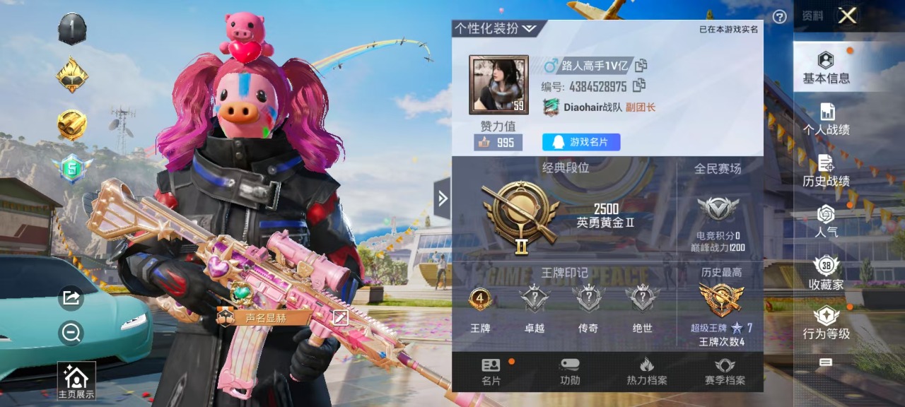 HPQM3162423和平精英账号详情图6