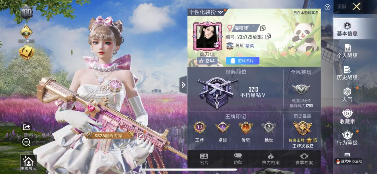HPQM3162527和平精英账号详情图10