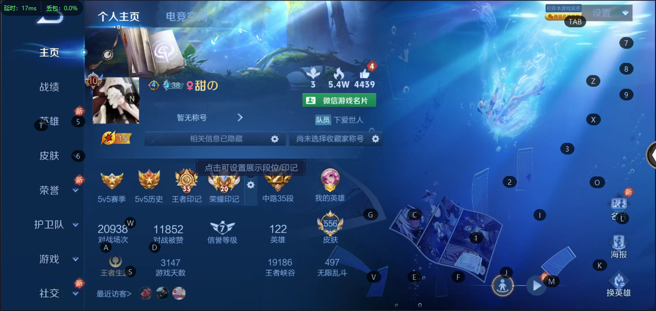 王者荣耀账号苹果VX无双 87传说 122英雄 556皮肤 可修改实名 荣耀水晶：天鹅之梦(小乔典藏),星空梦想(太空人