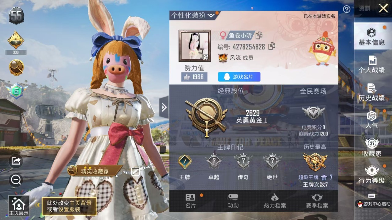 HPQM3163059和平精英账号详情图2