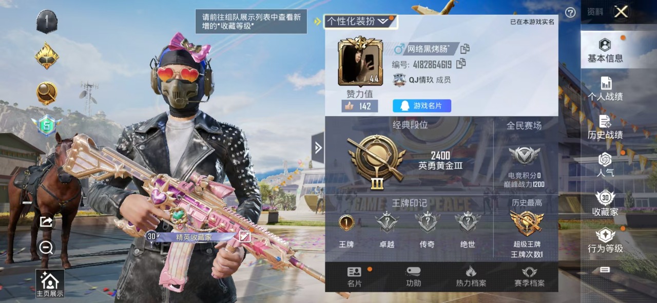 HPQM3169982和平精英账号详情图15