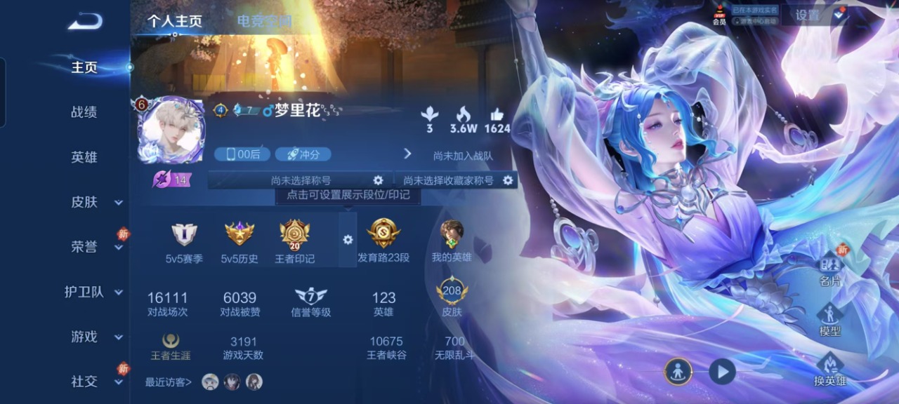 王者荣耀账号安卓QQ7 3典藏 2传说 123英雄 208皮肤 可修改实名 荣耀水晶：幻阙歌(貂蝉典藏),杀手不太冷,无