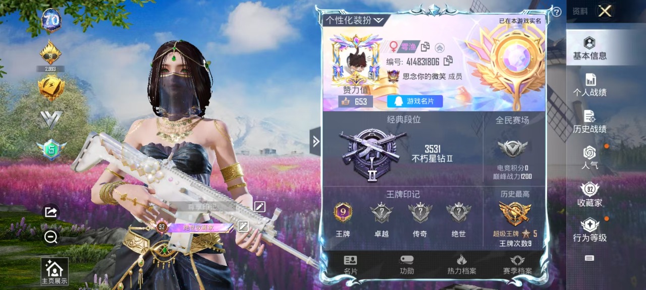 HPQM3177653和平精英账号详情图2