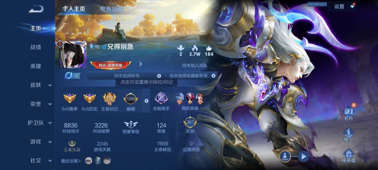 WZQM3110449王者荣耀账号详情图12