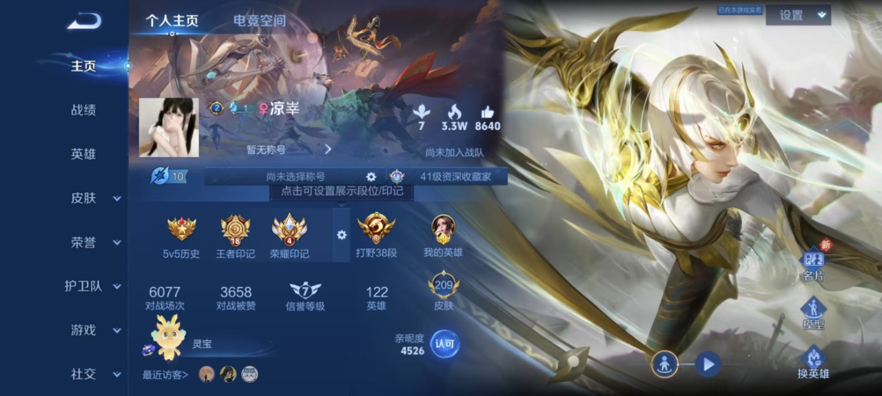 WZQM3110543王者荣耀账号详情图9