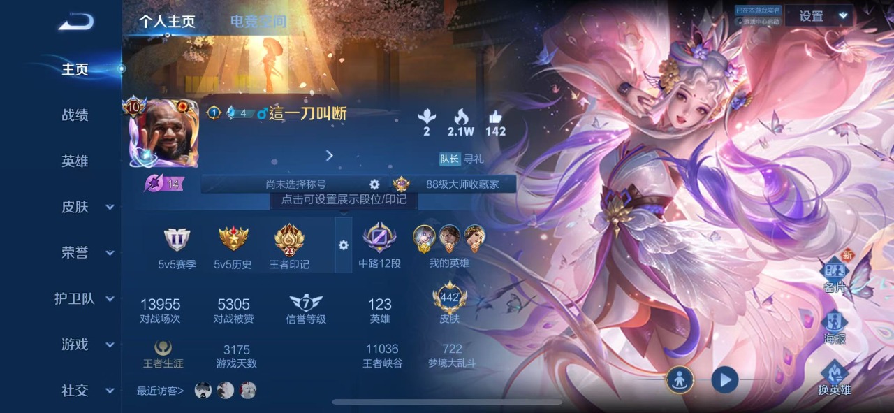 WZQM3110953王者荣耀账号详情图2
