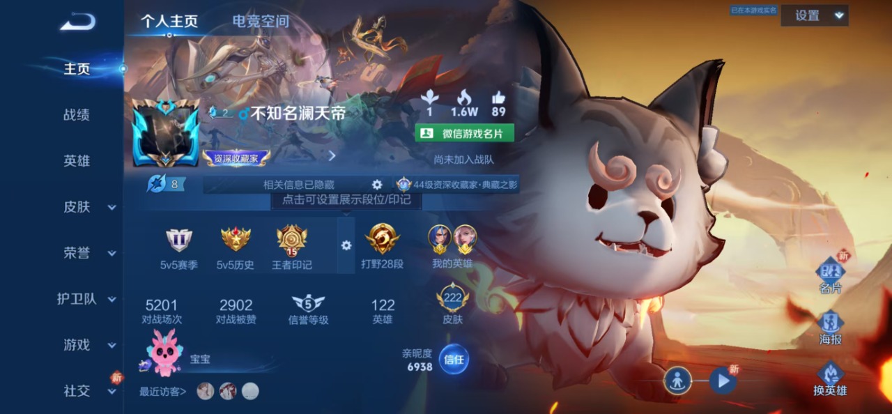 WZQM3117708王者荣耀账号详情图11 WZQM3117708王者荣耀账号详情图11