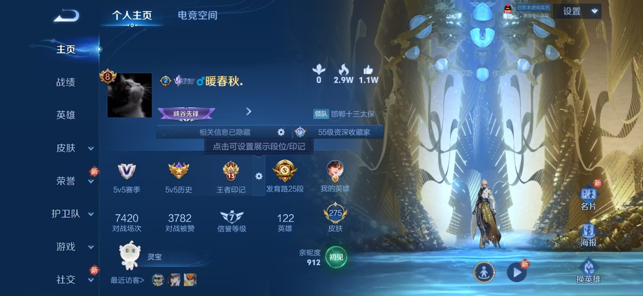 王者荣耀账号安卓QQ说 122英雄 275皮肤 掉绑 改不了密码 改不了二次 荣耀水晶：鸣剑·曳影 传说皮：黄金狮子座,