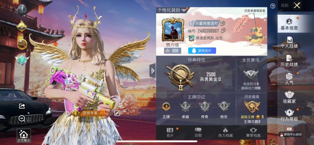 HPQM3199771和平精英账号详情图21 HPQM3199771和平精英账号详情图21