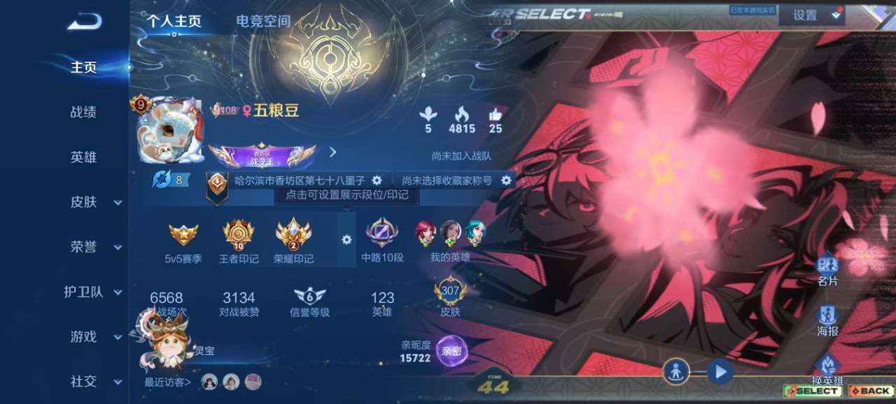 WZQM3124225王者荣耀账号详情图4 WZQM3124225王者荣耀账号详情图4