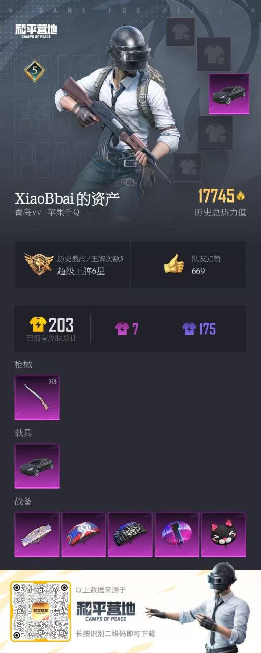 HPQM3211669和平精英账号详情图14 HPQM3211669和平精英账号详情图14
