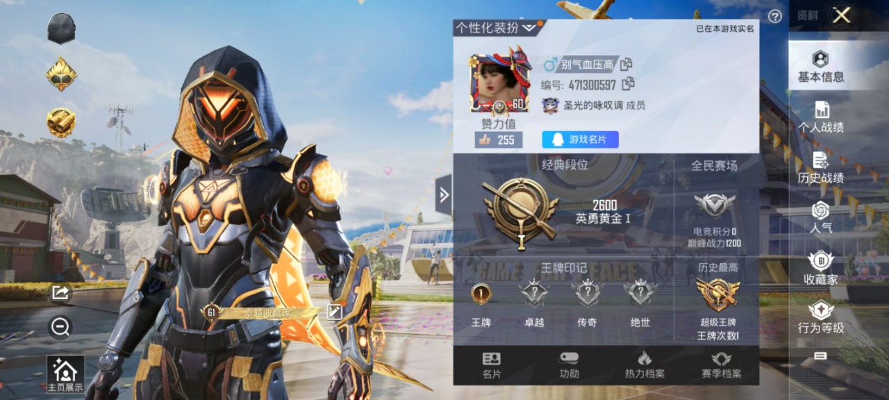 WZQM3128170王者荣耀账号详情图3 WZQM3128170王者荣耀账号详情图3