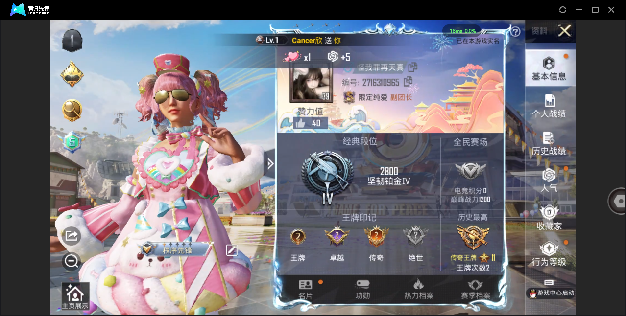 [9111449]4特效枪 2印记 可二次 可修改实名 稀有枪皮：DP-28-千金淑猫,GROZA-镜光银凌,Kar98K-巳巳如意,AUG-暖羊咩咩 五级特效枪：五级AUG-暖羊咩咩,五级GROZ
