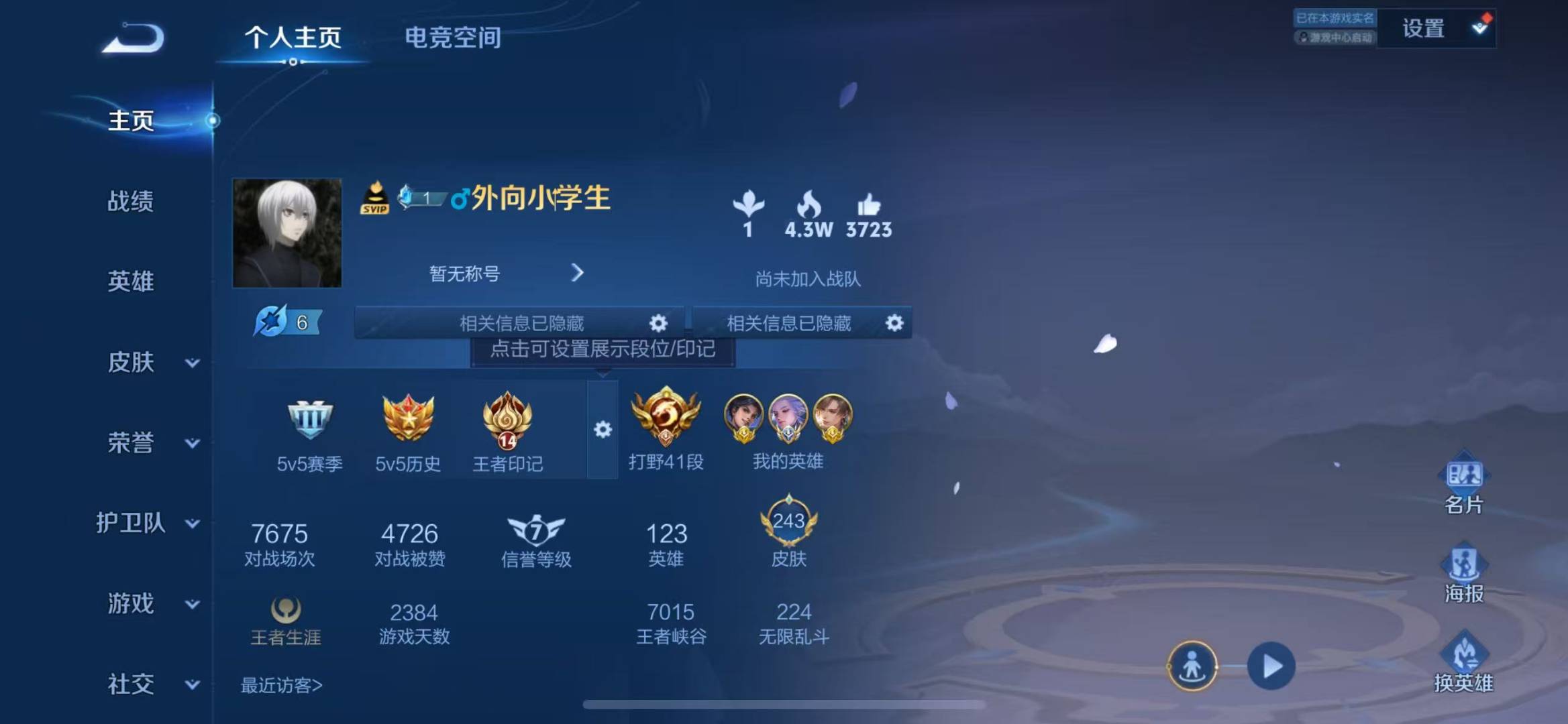 WZQM3166310王者荣耀账号详情图3 WZQM3166310王者荣耀账号详情图3