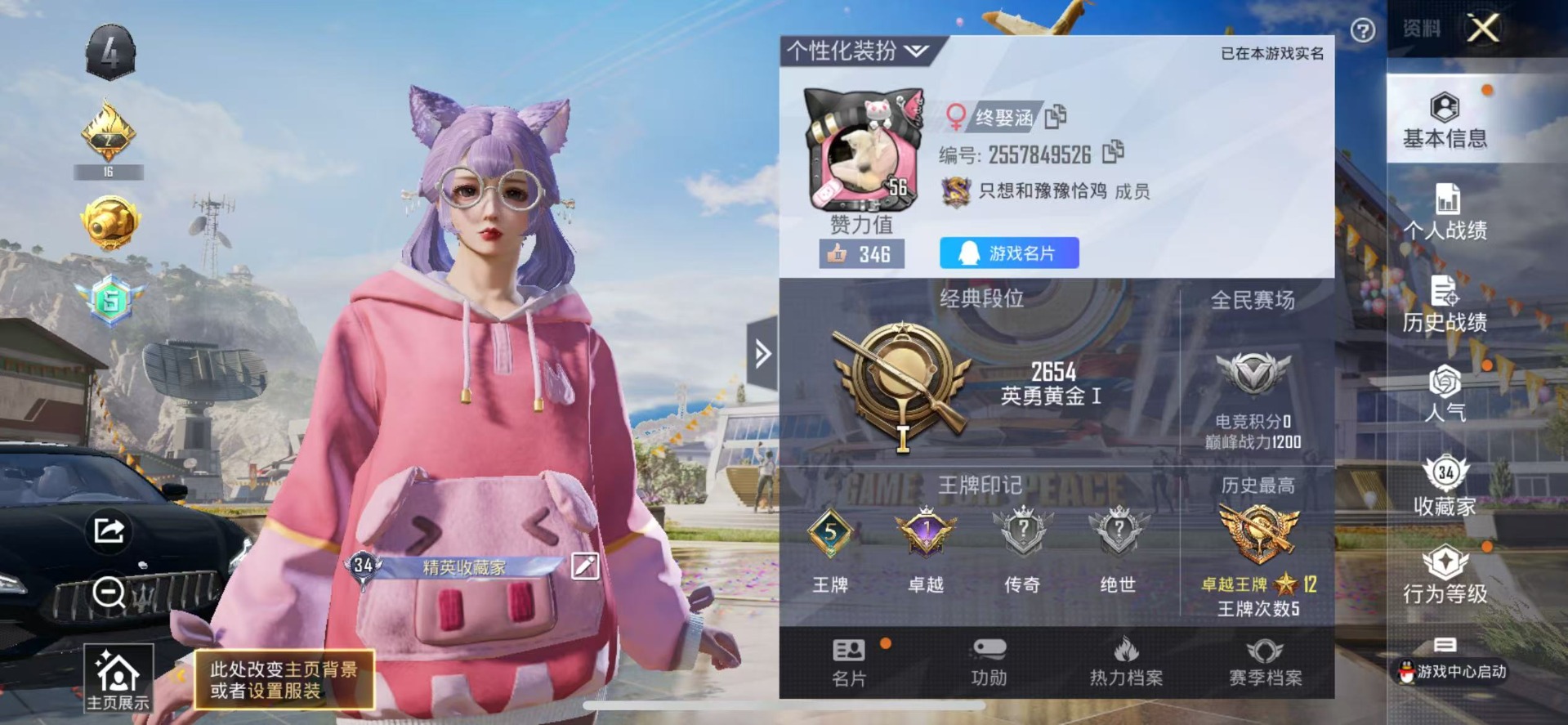 [9120560]5粉装 3特效枪 1载具 5印记 可二次 女号 热门装扮：梦幻火箭(新101)(新火箭少女101粉色套装),冰川粉黛,冰川红玫,冰川幽秘,桃夭倾城,暗夜行者 载具：玛莎拉蒂Quat