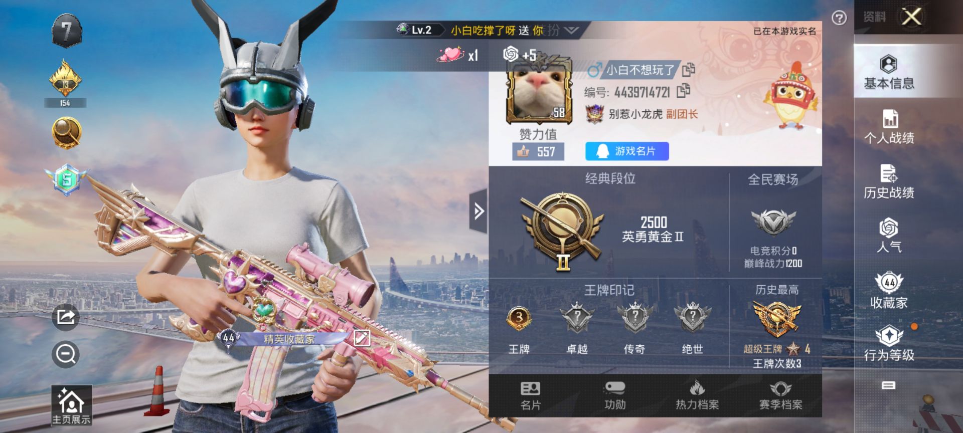 HPQM3264607和平精英账号详情图3 HPQM3264607和平精英账号详情图3