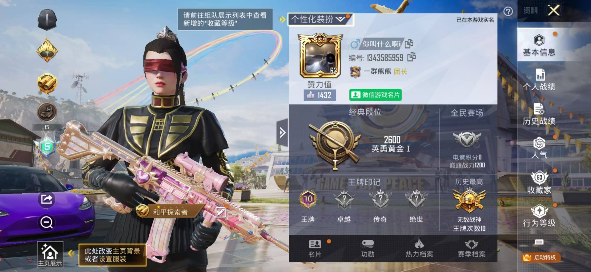 [9160946]23粉装 6特效枪 5载具 10印记 可二次 可修改实名 身法装备：暗影哥特（红眼罩）,沙漠守护者,冥河战士(老木乃伊) 热门装扮：冥河战士(老木乃伊),甜心巧克力,金曜白虎,水曜
