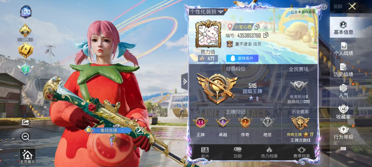 [9165730]3粉装 5特效枪 13印记 可二次 可修改实名 热门装扮：冰川幽秘,未来歌姬,金丰海韵,软萌银虎 稀有枪皮：Kar98K-巳巳如意,M416电玩时刻,AMR-智耀战神,AKM绿萝繁