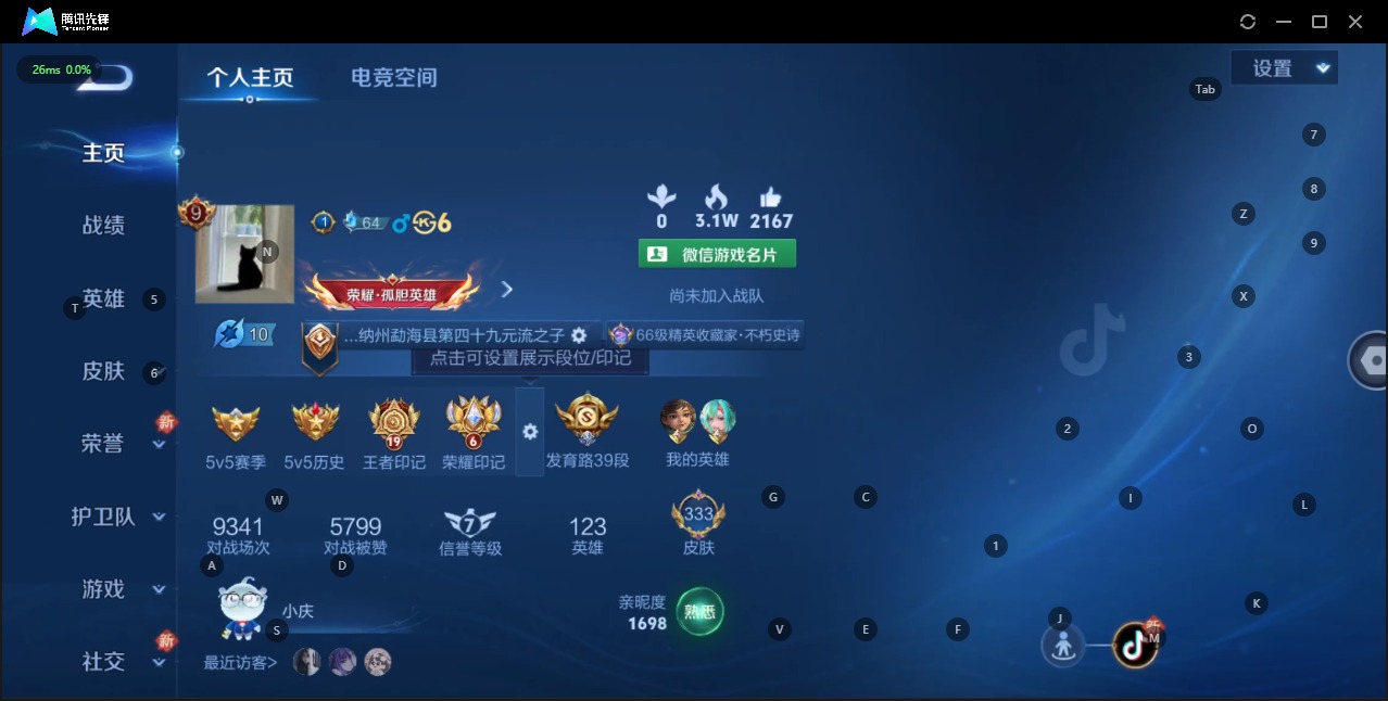 WZQM3178325王者荣耀账号详情图8 WZQM3178325王者荣耀账号详情图8