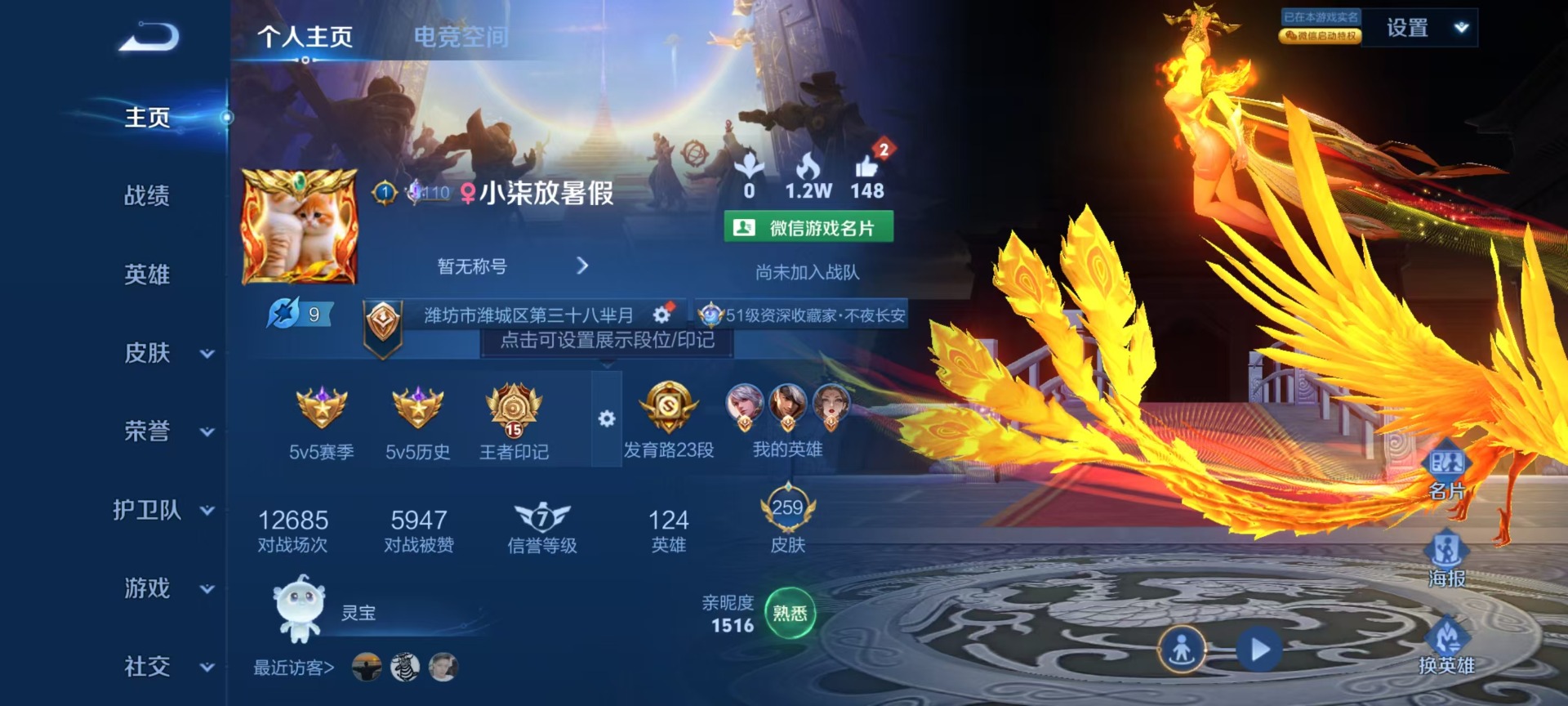 WZQM3178778王者荣耀账号详情图11 WZQM3178778王者荣耀账号详情图11