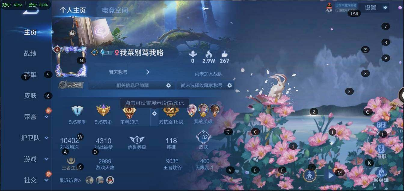 WZLX3179316王者荣耀账号详情图5 WZLX3179316王者荣耀账号详情图5