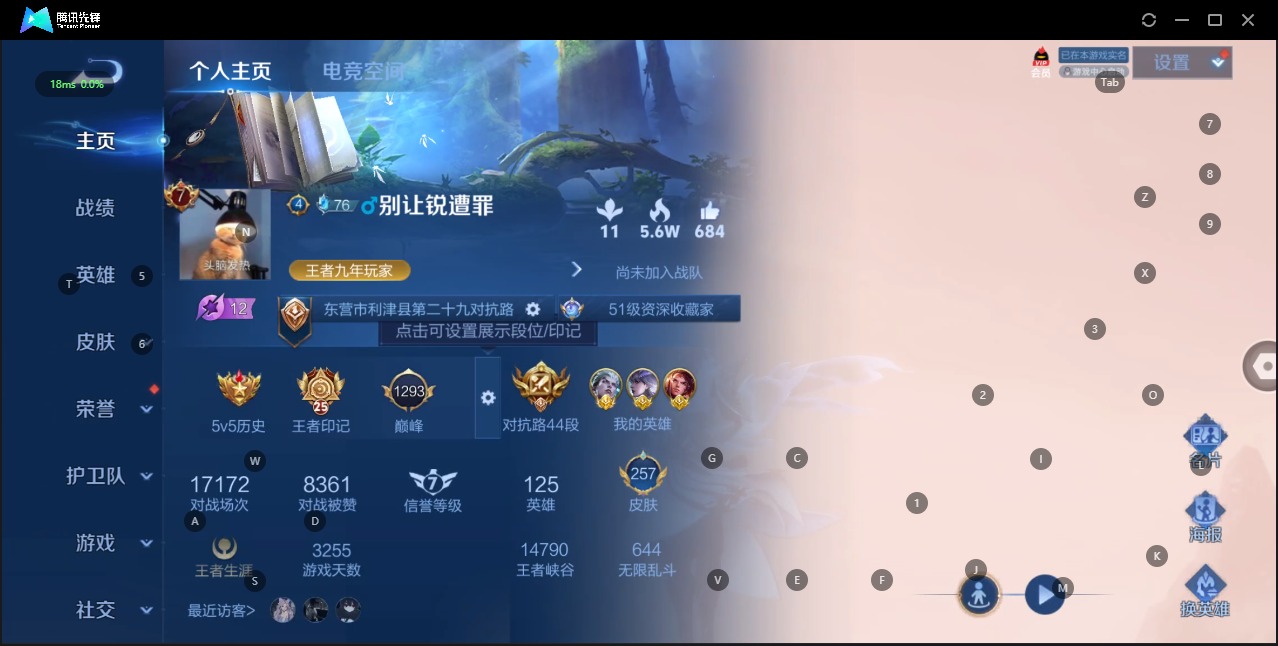 WZQM3179392王者荣耀账号详情图2 WZQM3179392王者荣耀账号详情图2