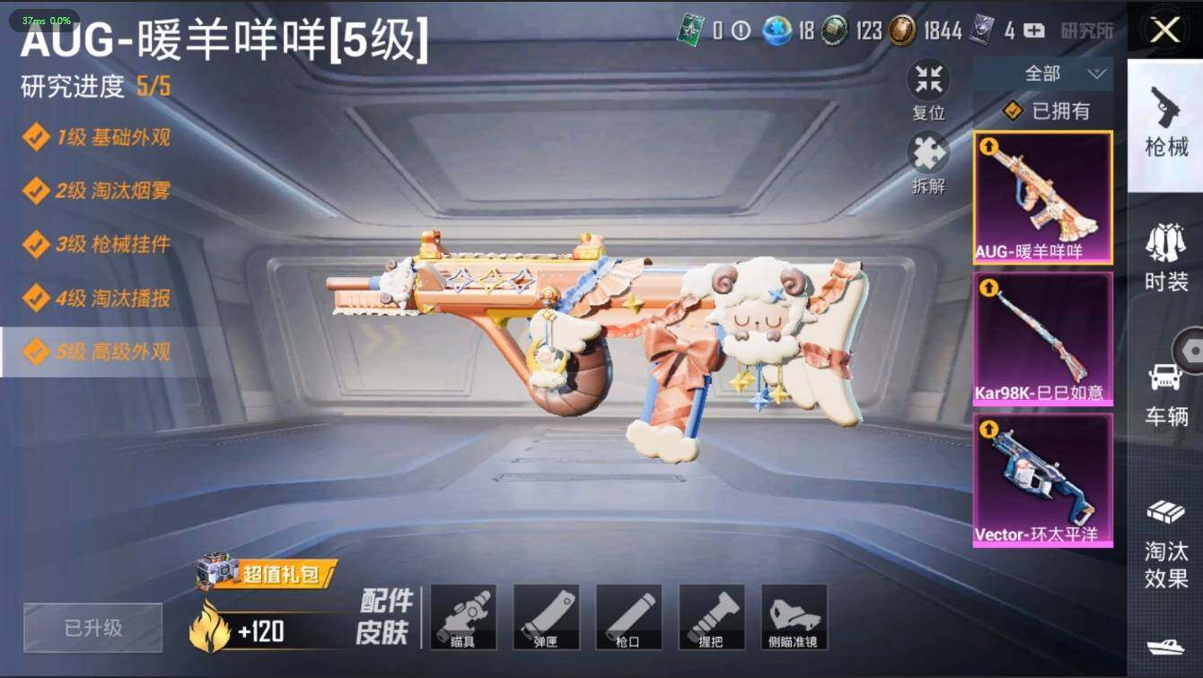 HPLX3273948和平精英账号详情图13 HPLX3273948和平精英账号详情图13