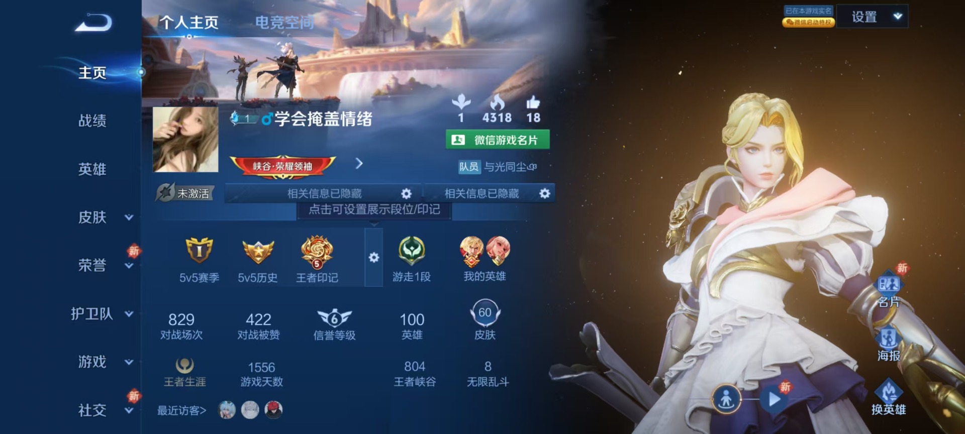 WZQM3185446王者荣耀账号详情图9 WZQM3185446王者荣耀账号详情图9