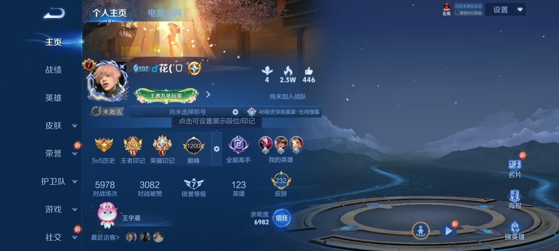 WZQM3187330王者荣耀账号详情图13