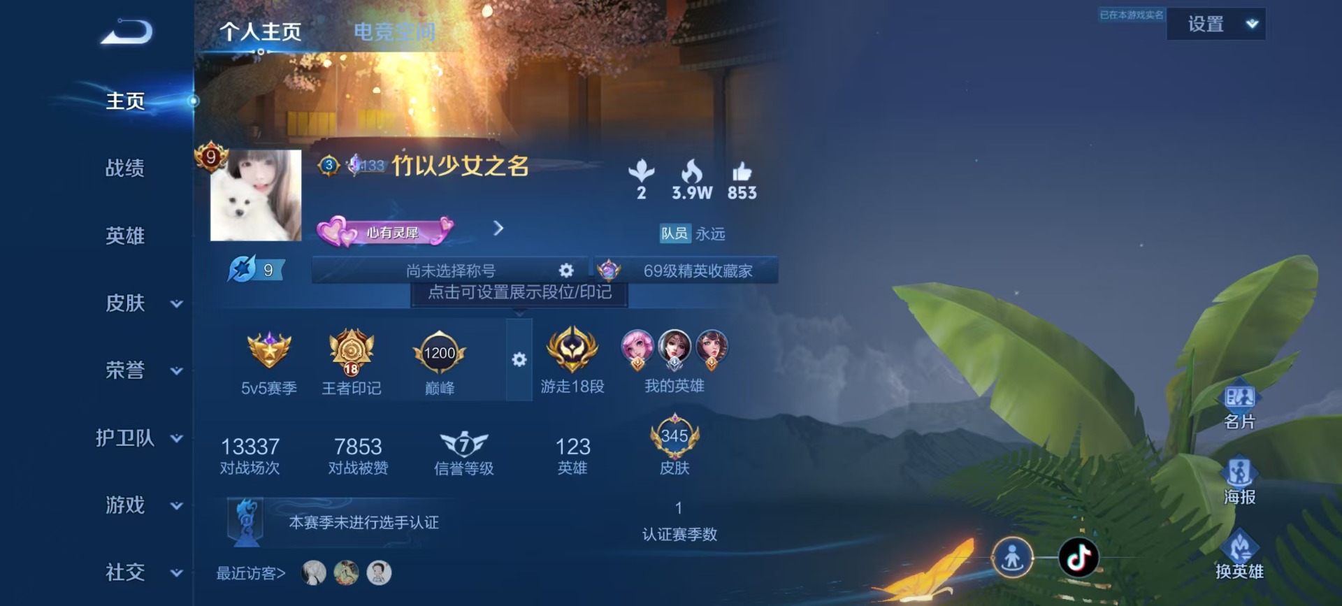 WZQM3188816王者荣耀账号详情图12 WZQM3188816王者荣耀账号详情图12