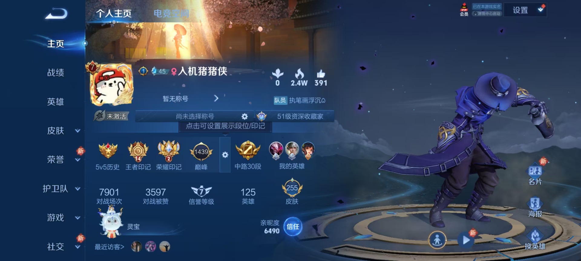 WZQM3190067王者荣耀账号详情图13 WZQM3190067王者荣耀账号详情图13