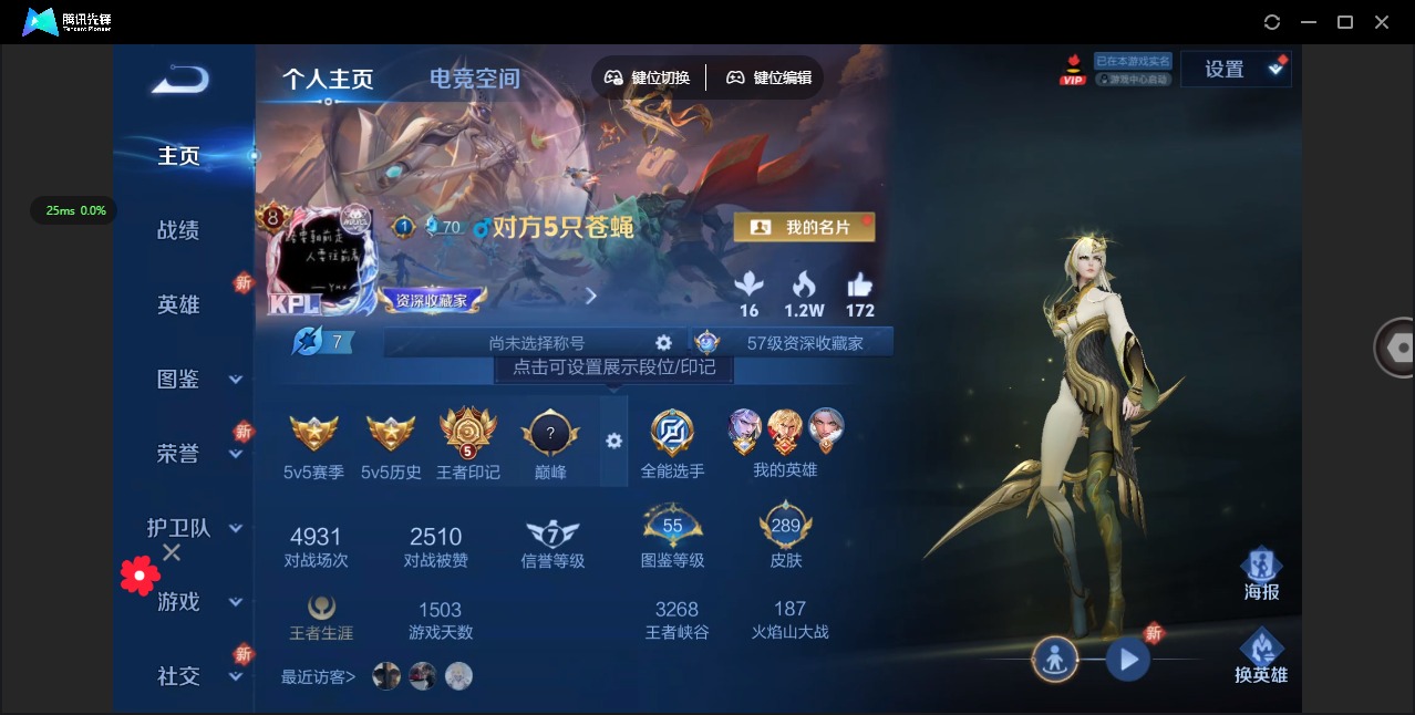 王者荣耀账号安卓QQ[12073863]V8 9传说 123英雄 289皮肤 可修改实名 优质装备:猫影幻舞,炽阳神光,